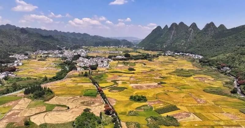 China Lifts 32 Million from Poverty Risk in 2025 Alone - Image 2