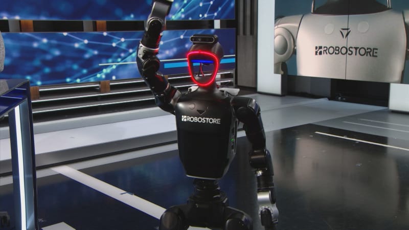 Humanoid Robot KOID Offers Nuanced Perspective on AI Industry's Future