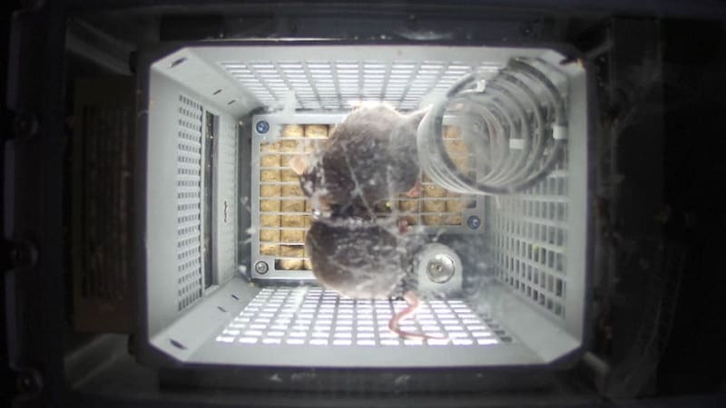 China Opens First School of Space Exploration - Image 3