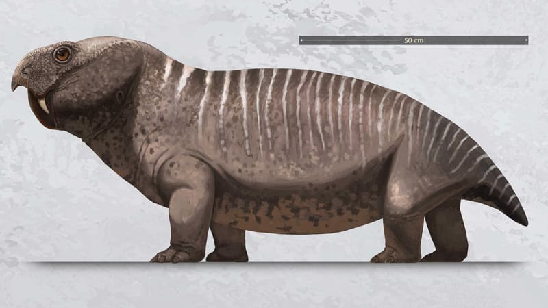 China Tests First Acne Vaccine in Clinical Trials - Image 4