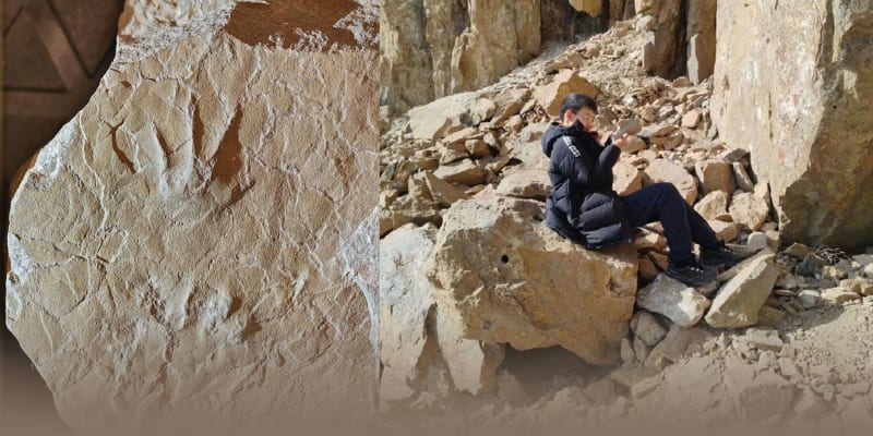 Small fossilized amphibian footprint next to young student Ni Jingchen in Beijing