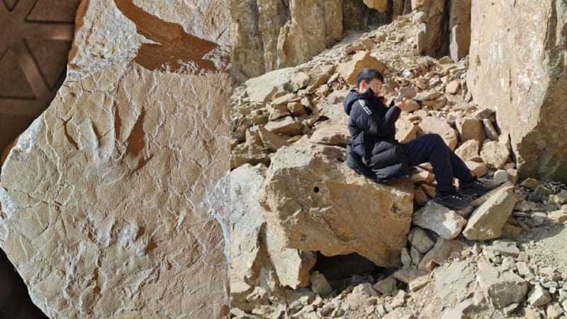 Rural China Cuts Antibiotic Overuse by 63% With Digital Tool - Image 3