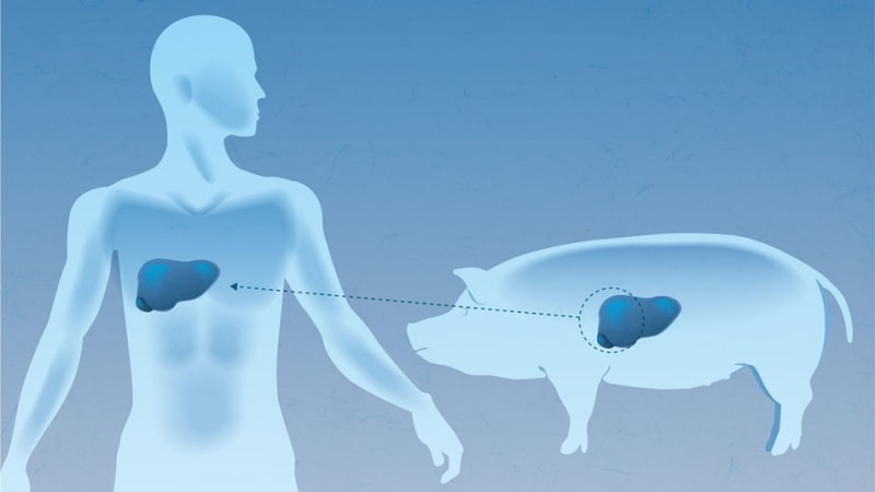 Rural China Cuts Antibiotic Overuse by 63% With Digital Tool - Image 2