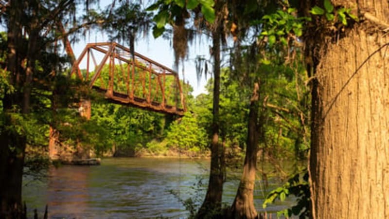 TheDream.US Opens Scholarships for 12,000+ Immigrant Students - Image 3