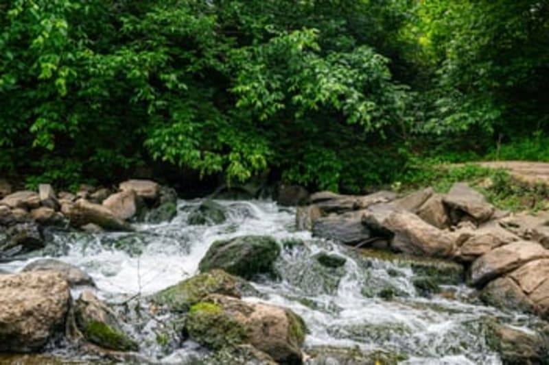 TheDream.US Opens Scholarships for 12,000+ Immigrant Students - Image 5