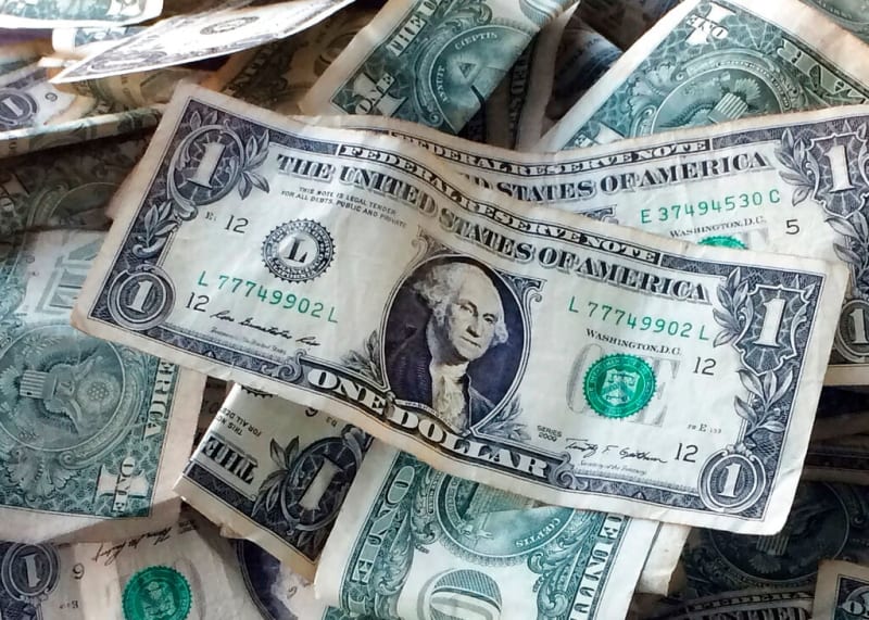 10 U.S. Species Move Closer to Endangered Protections - Image 5