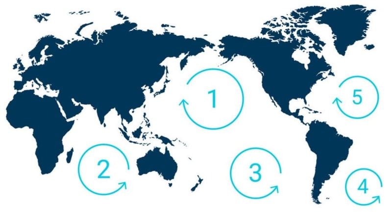 Pacific Garbage Patch Becomes Thriving Home to 46 Marine Species - Image 3