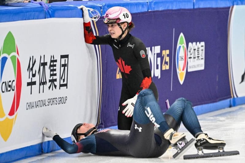 Olympic Skater Chases Gold With Dogs By Her Side - Image 5