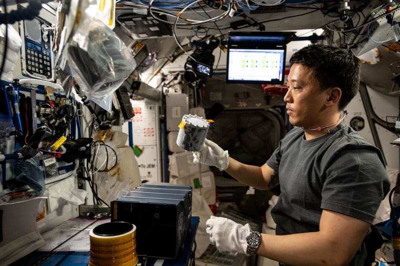 NASA Crew-12 to Test Blood Clot Prevention in Space - Image 4