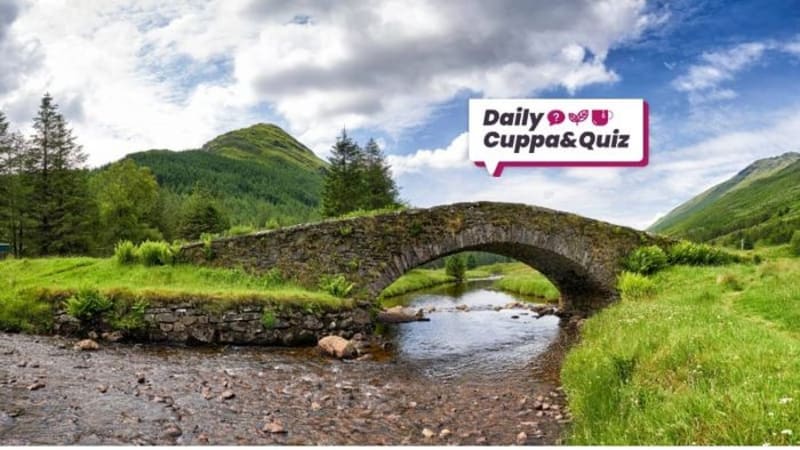 Wales Community Gives Out 71 Free Hedgehog Houses - Image 4