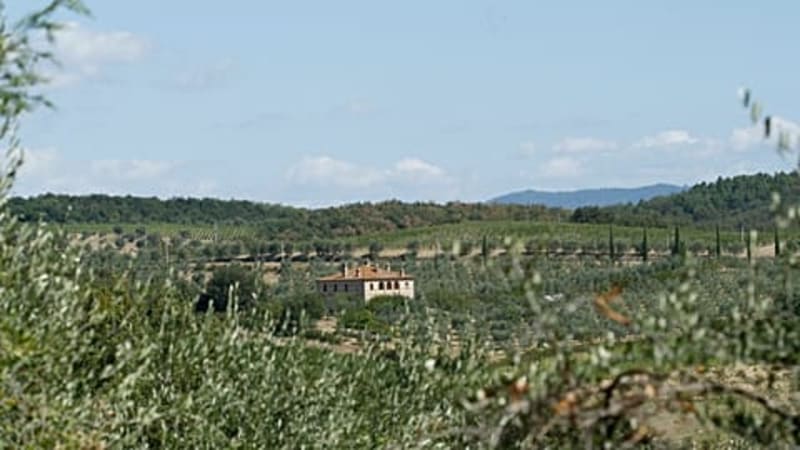 HBO's Heated Rivalry Cottage Opens for Airbnb Bookings - Image 5