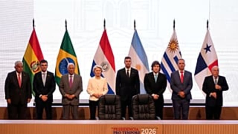 Amsterdam Gives Away 200,000 Free Tulips on National Day - Image 4