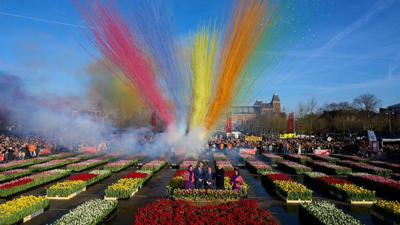 Amsterdam Gives Away 200,000 Free Tulips on National Day - Image 2