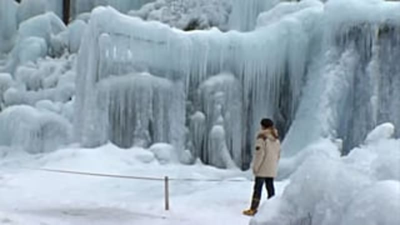 Japanese Inn Transforms Trees Into Frozen Art Display - Image 3
