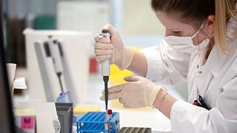 Calorie Restriction Boosts Chemo in Cancer Study - Image 3