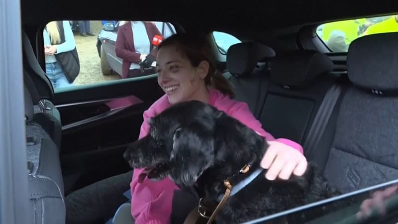 Missing Dog Boro Found Safe After Spain Train Crash