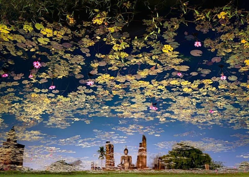 20,000 Photos Reveal 2025's Most Stunning Travel Moments - Image 3