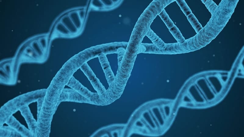 Google's AlphaGenome AI Reads 1 Million DNA Letters at Once