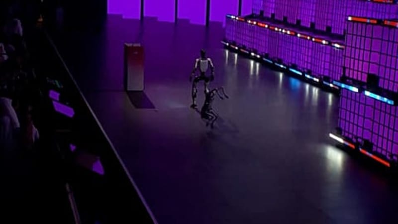 30,000 Gather in Qatar for Web Summit on AI and Innovation - Image 4