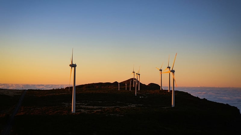 Portugal Hits 80% Renewable Energy in Historic Green Win