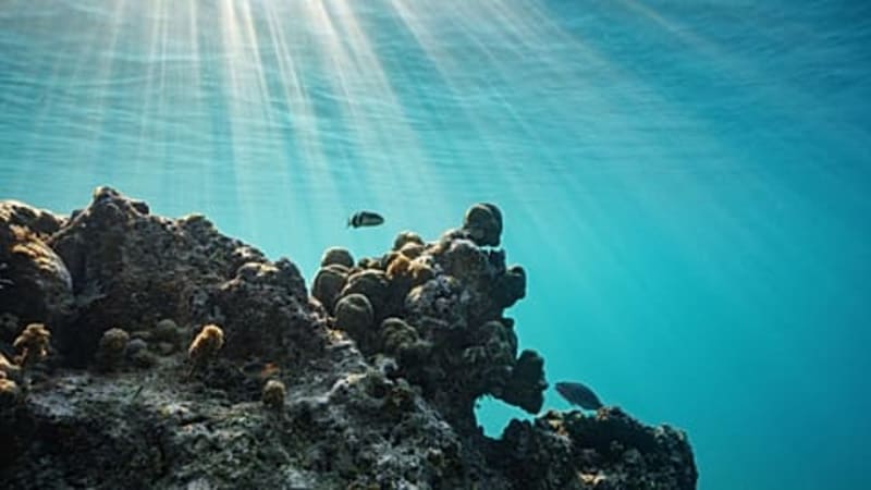 EU Geothermal Could Replace 42% of Fossil Fuel Power - Image 3