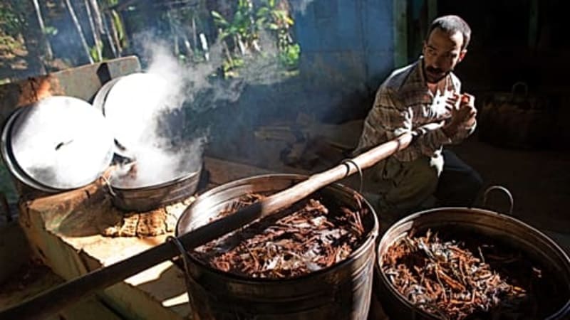 Single DMT Dose Shows Promise for Easing Depression - Image 4