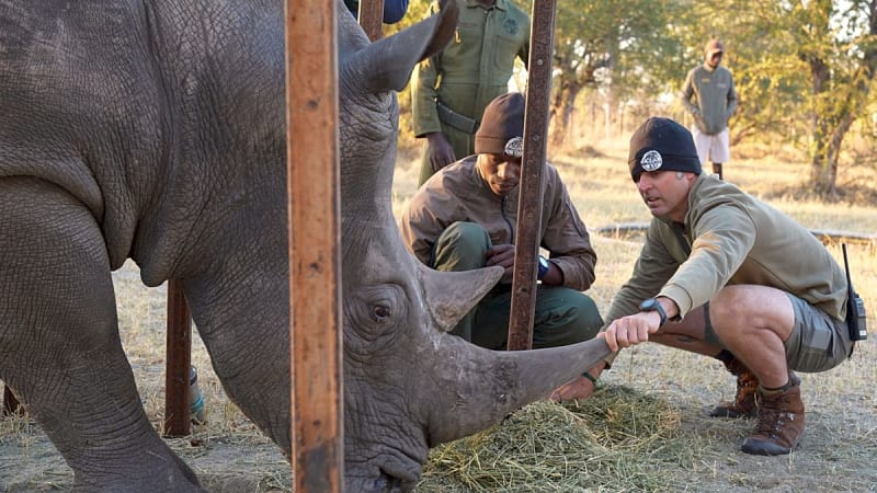 Florida Zoo Team Saves Wild Rhino's Vision in Zimbabwe