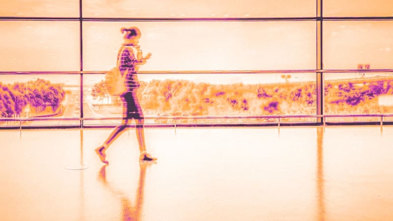 How One Office Found the Perfect Balance: Choice, Trust, and Happy Dogs at Work