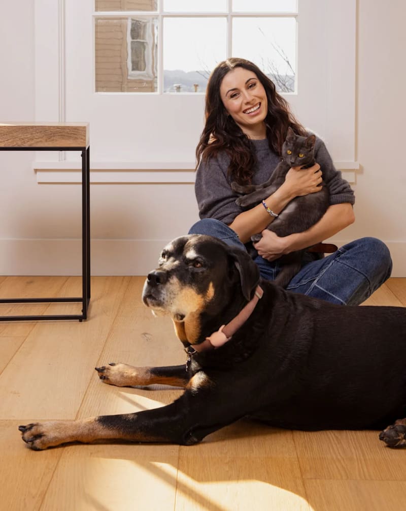 Startup Raises $250M to Help Dogs Live Longer Lives - Image 2