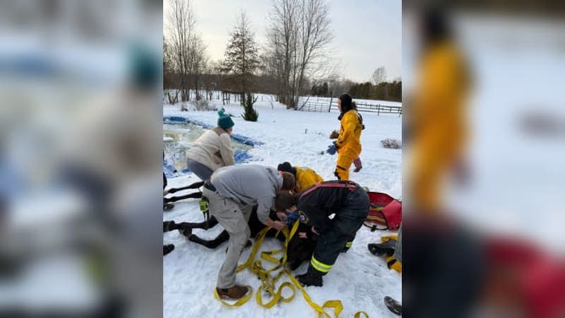 Ohio Firefighters Save Horse From Frozen Pool - Image 3