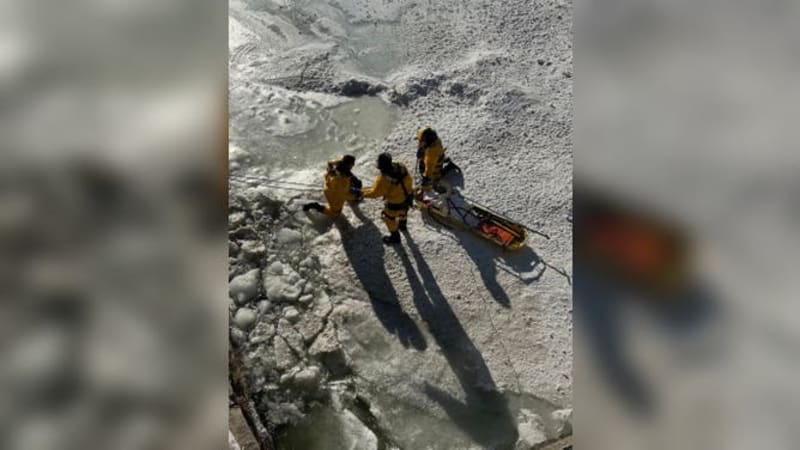 Firefighters Rescue Swan Frozen in Connecticut River - Image 4