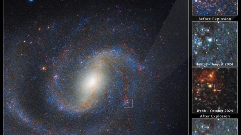 Webb Telescope Solves Mystery of Missing Red Stars - Image 2