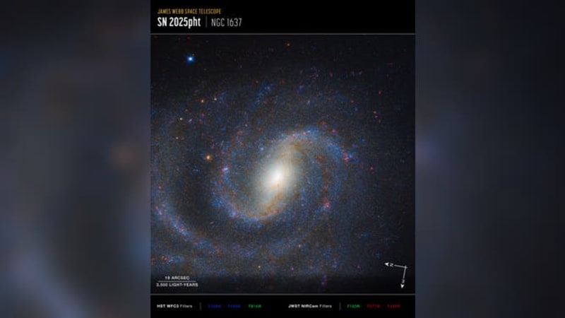 Webb Telescope Solves Mystery of Missing Red Stars - Image 3