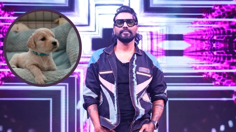 Choreographer Remo D'Souza Raised a Fox He Thought Was a Puppy