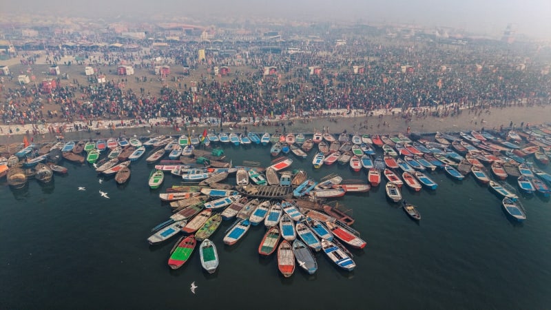 India Plants 251,000 Trees in One Hour, Sets World Record