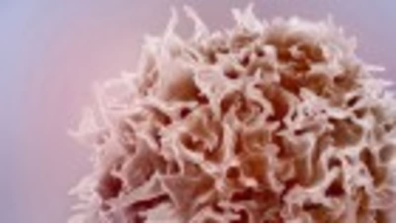 107-Year-Old Still Working Reveals Genetics of Long Life - Image 4