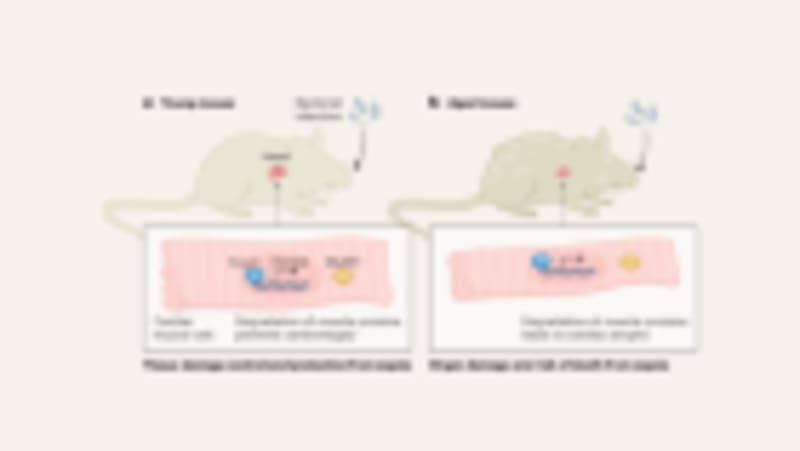 Brazilian Centenarians May Unlock Aging Science Secrets - Image 3