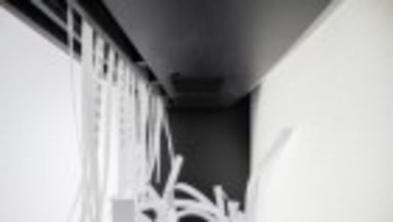 Professor Cuts Publications In Half For Better Science - Image 5