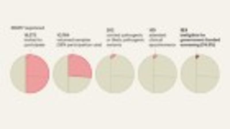 Wolf Pup's Last Meal Reveals Woolly Rhino's Final Days - Image 5