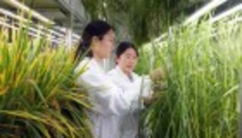 NASA's Pandora Telescope Launches With Early-Career Team - Image 3