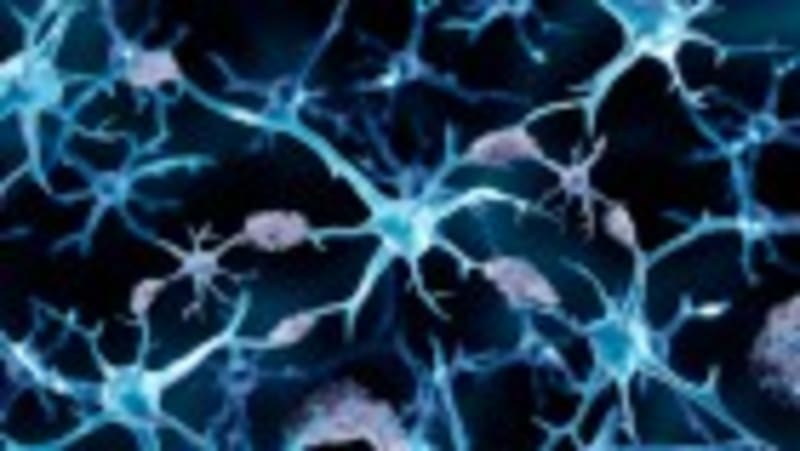 40% of Cancer Cases Are Preventable, Study Finds - Image 2