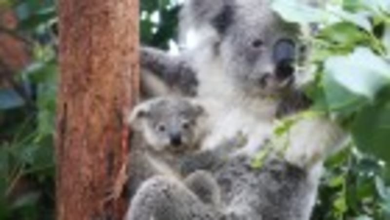 107-Year-Old Still Working Reveals Genetics of Long Life - Image 5