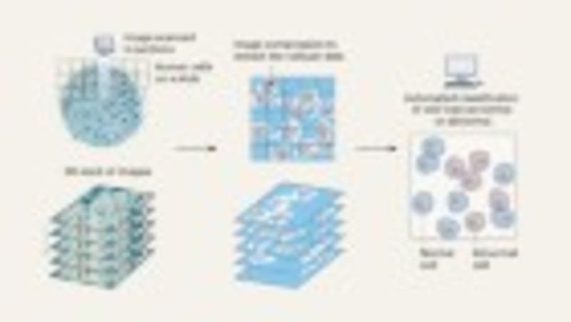 AI Coach Makes Peer Reviews 30% More Constructive - Image 4