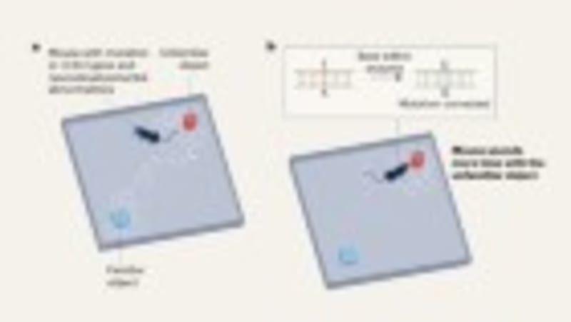 Blood Test May Predict When Alzheimer's Symptoms Will Start - Image 5