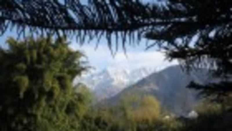 AI Chatbots Boost Medical Accuracy in Rwanda and Pakistan - Image 4