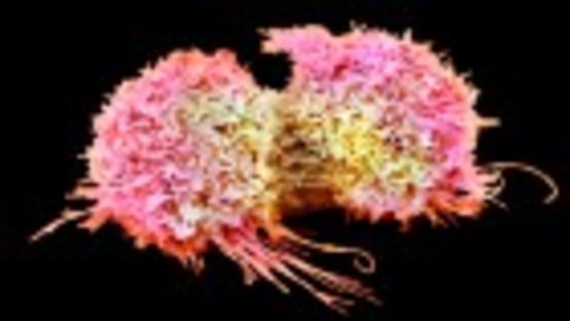 Exercise Rewires Your Brain to Boost Endurance - Image 5