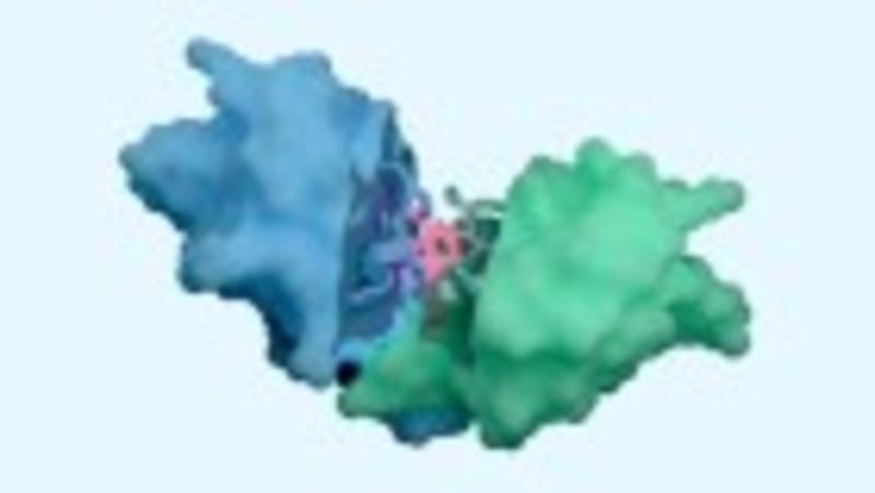 Animal Testing Falls 36% as Lab Alternatives Take Off - Image 2