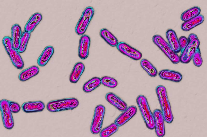 Boston Doctor Finds Super Donors for Life-Saving Treatment - Image 2