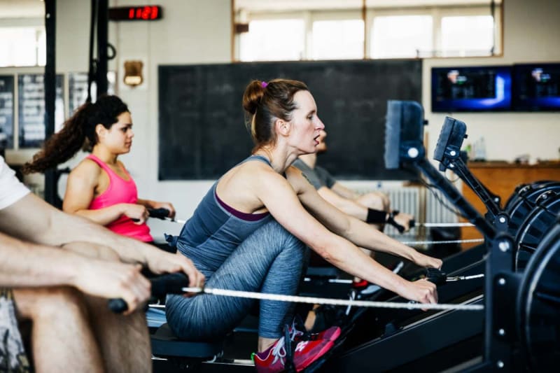 Gut Bacteria Transplants Double Kidney Cancer Survival Time - Image 3