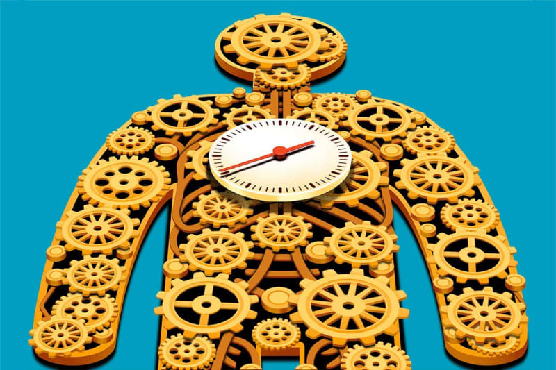 Morning Labor Inductions Cut Delivery Time by 6 Hours - Image 3